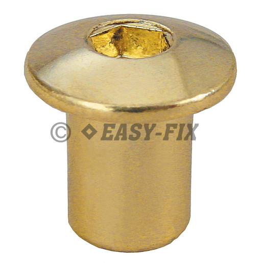 Piuliţă înfundata rotundă, oţel Ø13mm - M6x10 SW5 Alămită (100 buc)