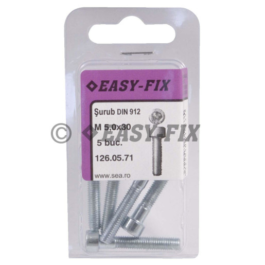 Şurub cap cilindric DIN 912- 8.8 M  5x 30/22 ZA SW4